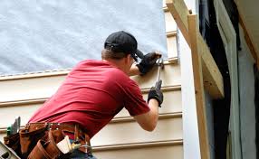 Best Siding for New Construction  in Cologne, MN